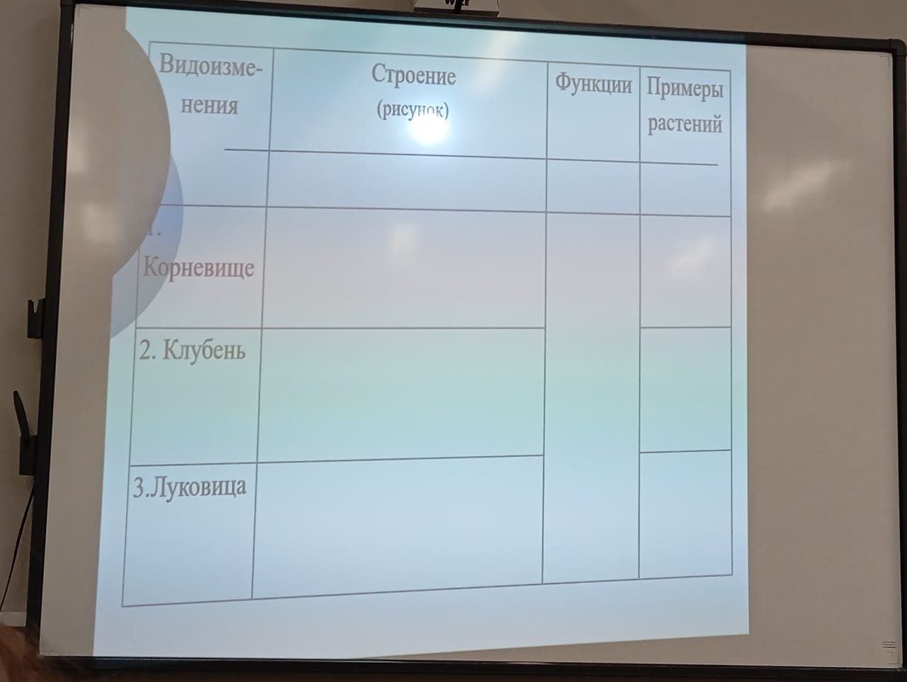 Заполните таблицу высшие психические функции. Заполните таблицу высшие психические функции