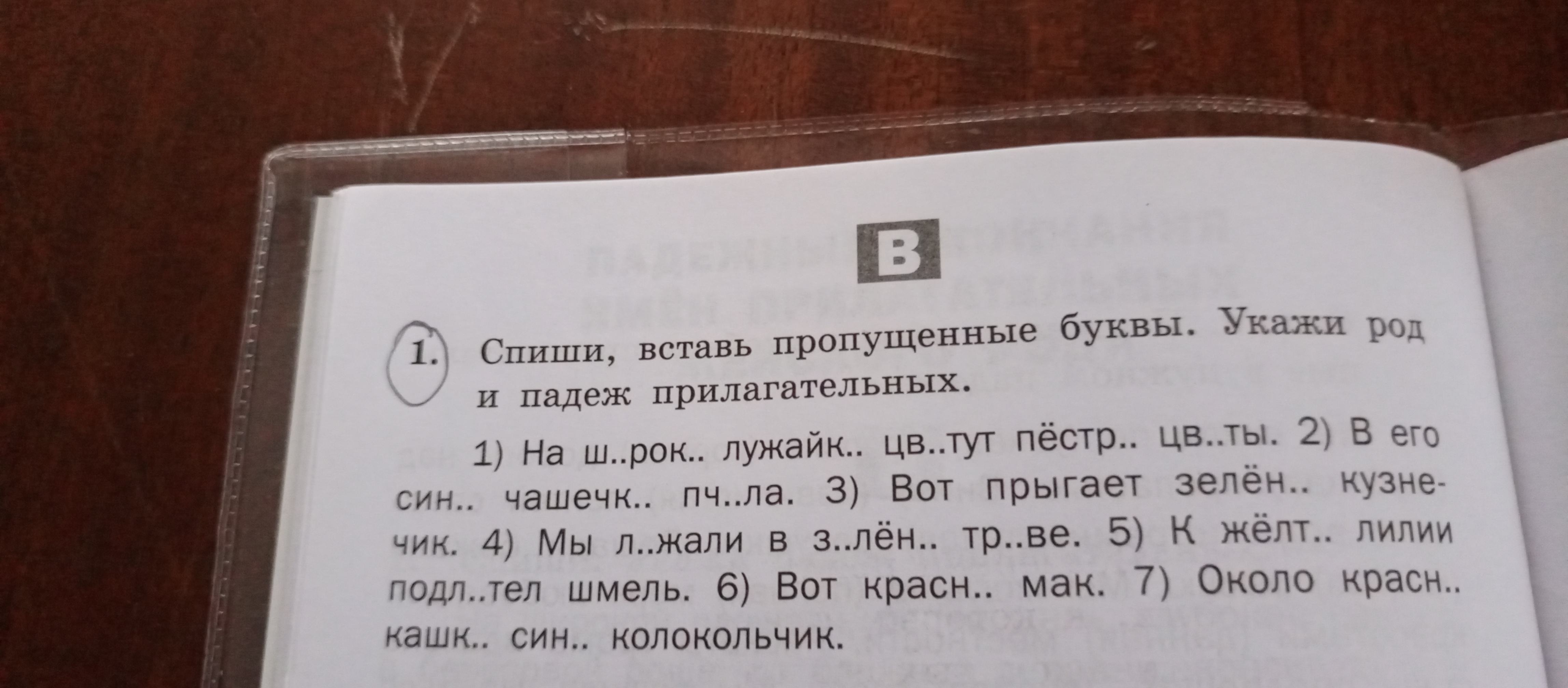 Березовый дательный падеж единственное число. Березовый дательный падеж единственное число