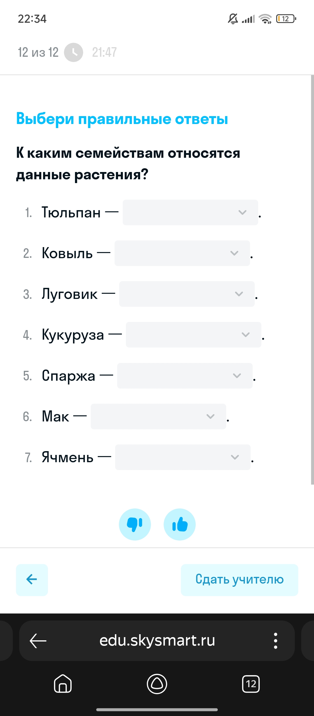 Ковыль
