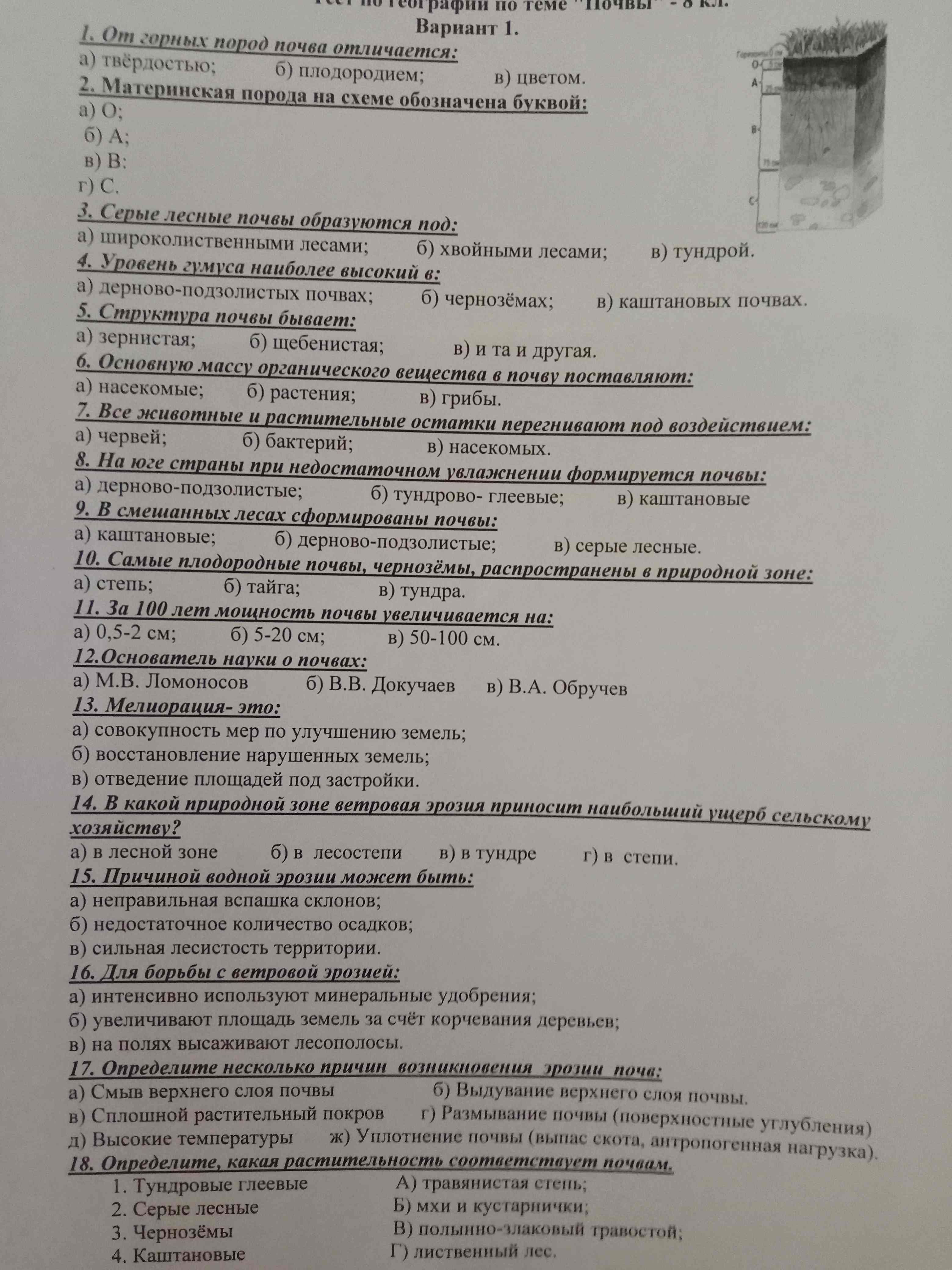 10. Самые плодородные почвы, естественно распространённые в природной зоне:
